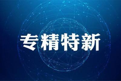 廣東省關(guān)于組織開展2020年專精特新中小企業(yè)遴選工作的通知