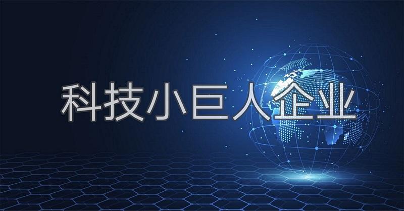 科技小巨人是什么？廣州市企業(yè)科技小巨人怎么認證申請