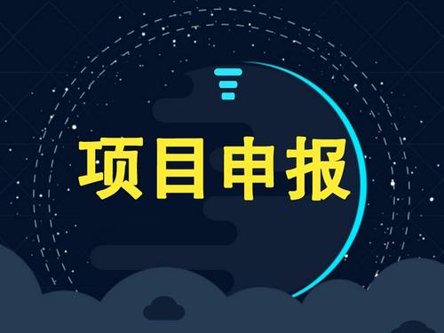 企業(yè)可以獨(dú)自申請項(xiàng)目補(bǔ)貼嗎？成功率怎么樣？