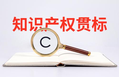 小微初創(chuàng)企業(yè)怎么申請知識(shí)產(chǎn)權(quán)貫標(biāo)？